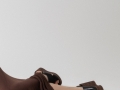 NextGen ScrollGallery thumbnail