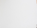 NextGen ScrollGallery thumbnail